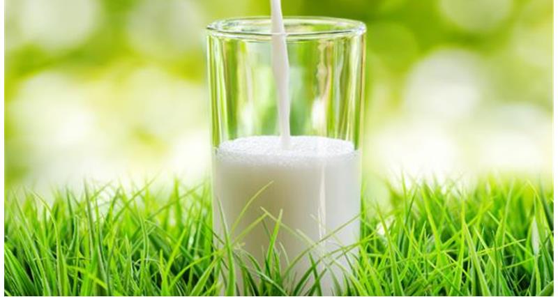 glass of milk in grass, dairy, cows, roadmap_31570