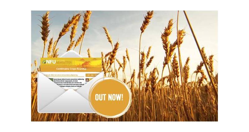 combinable crops update newsletter ident_32776