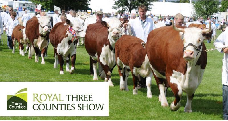 royal three counties show logo and show ring, cattle_43183