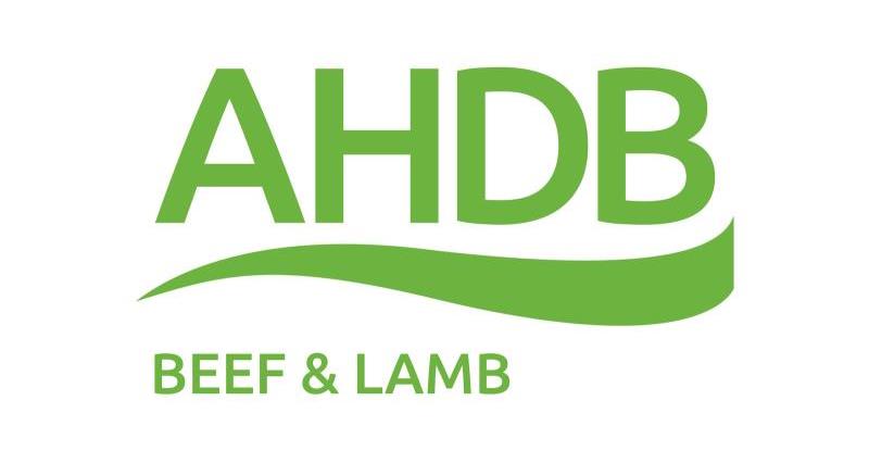 ahdb beef and lamb logo 2016_36752
