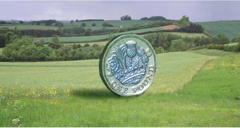 A stylised image of a large pound coin set against a landscape of green fields