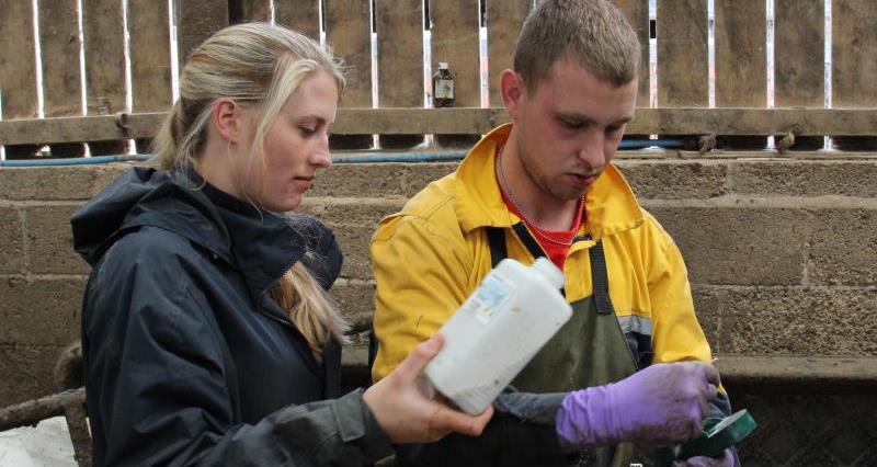 Sophie Warner and Callum Casey, dairy, British Farmer and Grower, Student Farmer, August 2017, next generation_45850