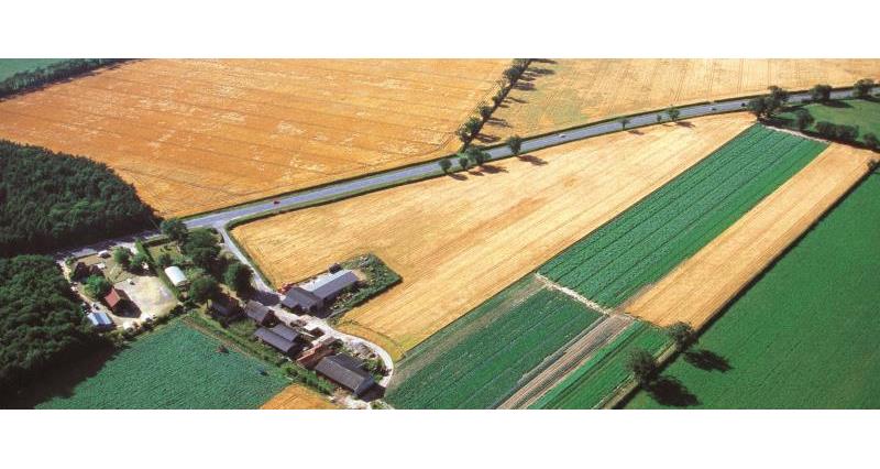 aerial view of farm, landscape, banner crop_30731