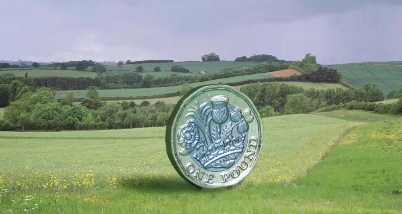 pound coin in landscape, farming business, countryside_44886