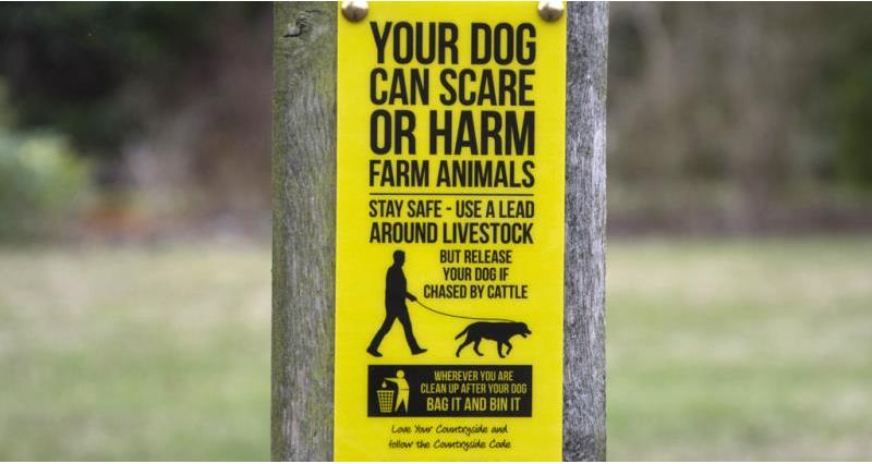 dog walking sign 2015, web crop, love your countryside_38511